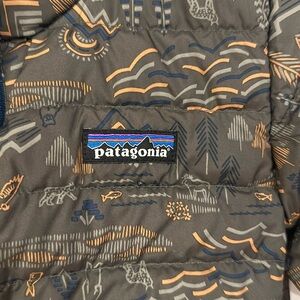 3T green pattern Patagonia jacket